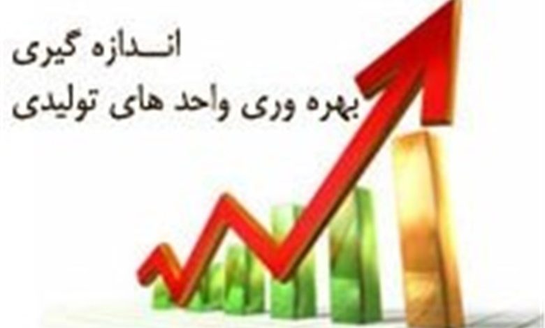 ابلاغ شیوه‌نامه سنجش بهره‌وری شرکت‌های دولتی