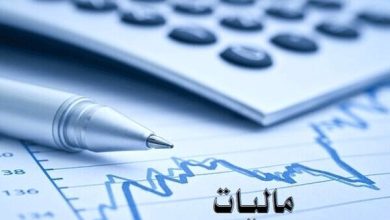 استعلام جزئیات حساب‌های مودیان مالیاتی تنها در حدود اختیار وزیر اقتصاد است