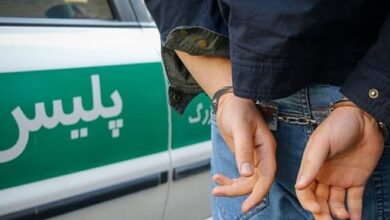 انهدام باند سارقان حرفه ای باغات در زنجان