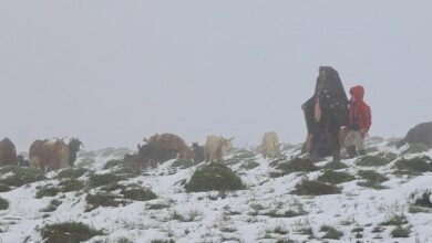 بارش برف و باران و کاهش دما در برخی مناطق کشور‌ از 18 مهر