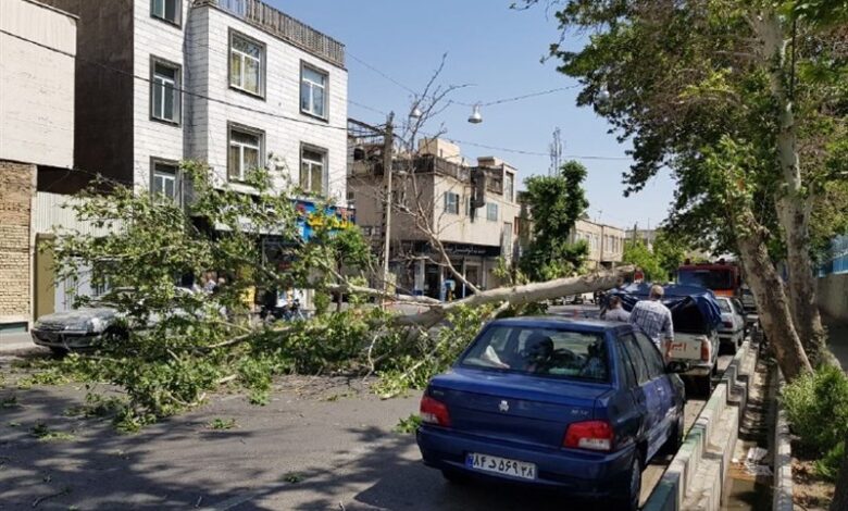 بارش‌های پاییزی امسال از اواخر مهرماه آغاز می‌شود