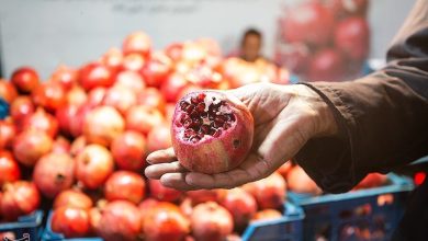 برداشت ۲۳ هزار تن انار در خوزستان پیش‌بینی شد