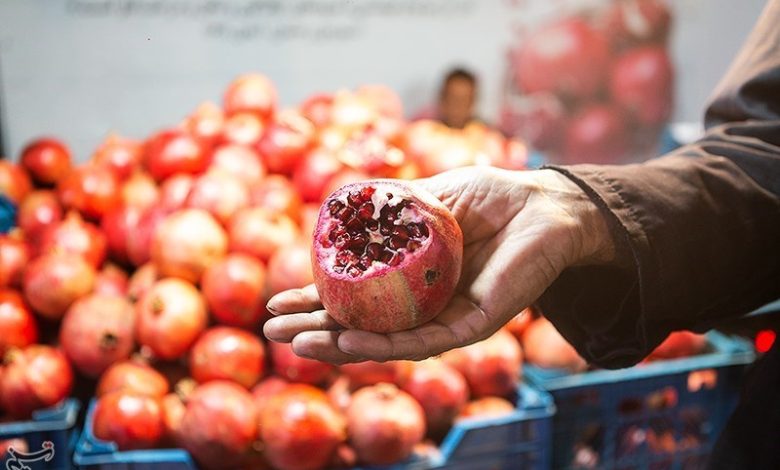 برداشت ۲۳ هزار تن انار در خوزستان پیش‌بینی شد