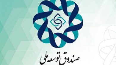 توضیحاتی درباره نحوه سرمایه‌گذاری صندوق توسعه ملی