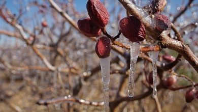 ثبت نخستین دمای زیر صفر در استان تهران