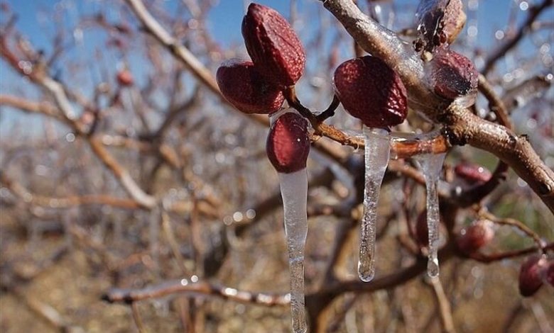 ثبت نخستین دمای زیر صفر در استان تهران