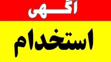 جذب ۱۲۰ نفر در ۲۰ شهرداری استان مرکزی + جدول