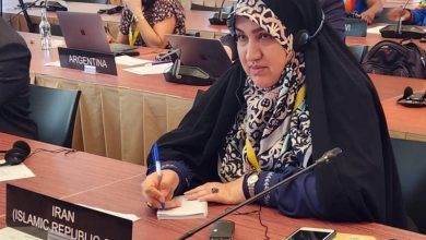 رفیعی: کشورهای اروپایی‌ براساس هیجانات فضای مجازی درباره ایران اظهارنظر نکنند