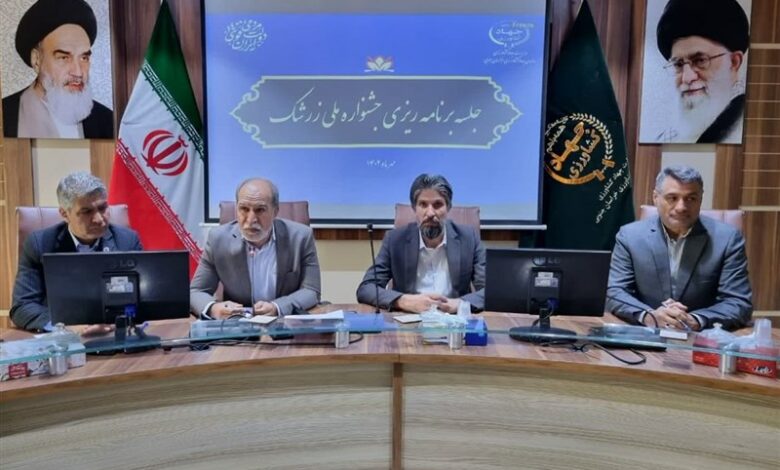 زرشک خراسان جنوبی باید فراتر از مرزها معرفی شود تا نتیجه مطلوب به دست آید