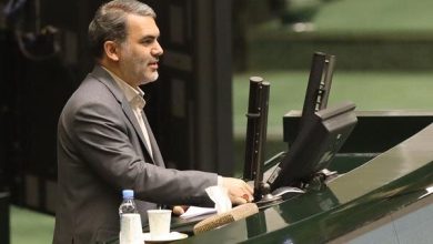 زنگنه: نمی‌توان با تخلف چند پزشک همه پزشکان را زیرسوال برد