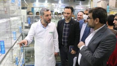 ساماندهی وضعیت باغ پرندگان خلیج فارس با ورود دادستانی