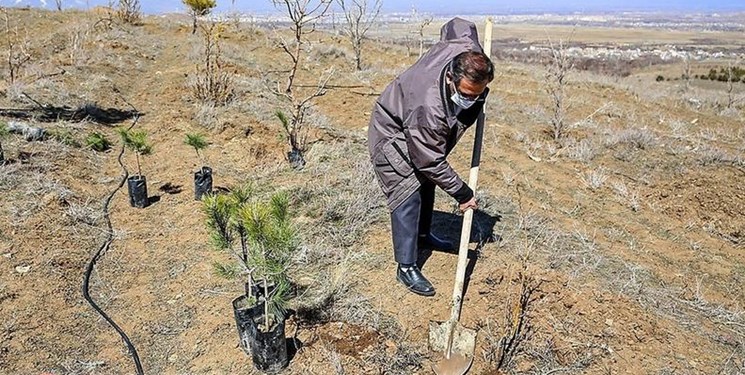 صدور حکم متهمان قطع اشجار جنگلی به غرس ۴۰۰ اصله درخت در شهرستان کلیبر