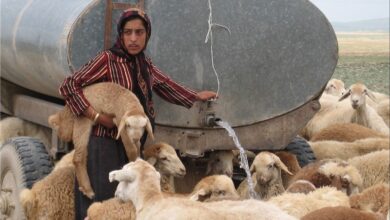 طرح آبرسانی به منطقه عشایر «کولگ» استان ایلام در دهه فجر به بهره‌برداری می‌رسد