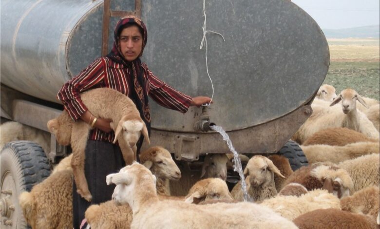 طرح آبرسانی به منطقه عشایر «کولگ» استان ایلام در دهه فجر به بهره‌برداری می‌رسد