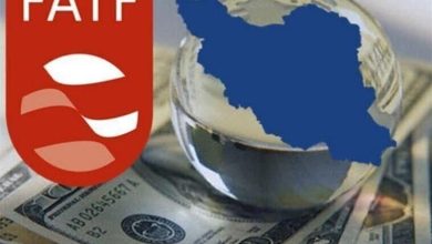 طغیانی: عضویت در FATF ‌تا پیش از لغو تحریم‌های ثانویه دردی از اقتصاد کشور دوا نمی‌کند