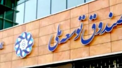 طلب 113.5 میلیارد دلاری صندوق توسعه ملی از دولت و بخش خصوصی