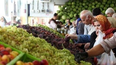 عرضه انواع میوه در میادین میوه و تره بار تا ۴۷ درصد ارزان تر نسبت به سطح شهر