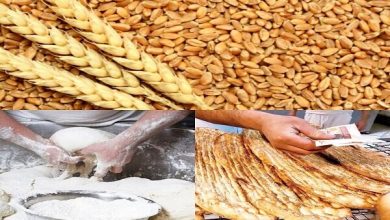 ماراتن گندم و نان تا طلایی شدن/شماره ۱۰۴ به مقصد می‌رسد؟