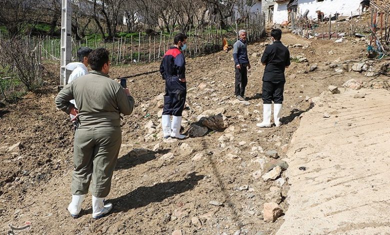 مایه‌کوبی رایگان ۱۳۰ هزار رأس دام در استان کردستان