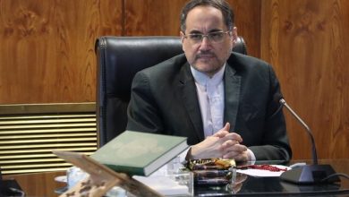 نگاهداری: جنایت اسرائیل در غزه با هیچ استاندارد انسانی تطابق ندارد