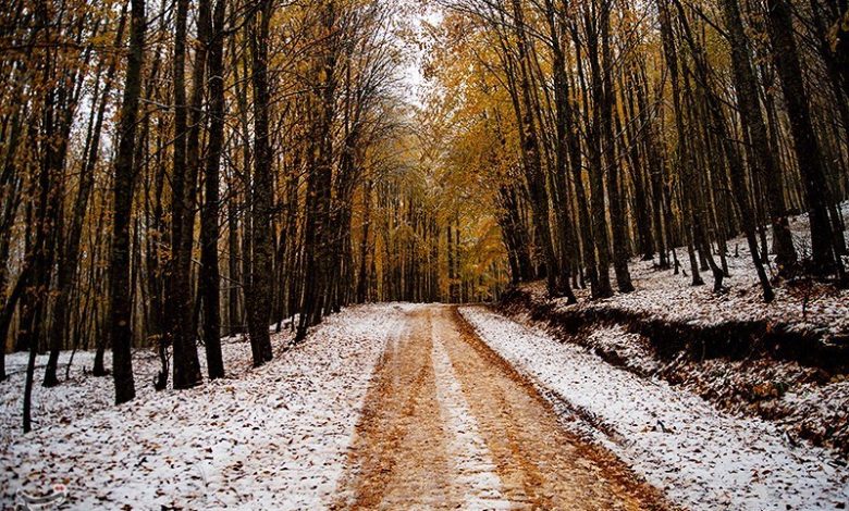 هواشناسی ایران ۱۴۰۲/۰۷/۱۵؛ بارش اولین برف پاییزی در کشور/ پیش‌بینی بارش‌های شدید در برخی استان‌ها