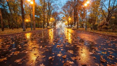 هواشناسی ایران ۱۴۰۲/۰۷/۲۸؛ تداوم بارندگی و رعدوبرق در نیمه شمالی کشور