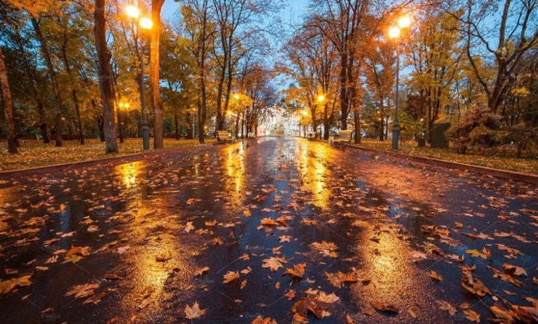 هواشناسی ایران ۱۴۰۲/۰۷/۲۸؛ تداوم بارندگی و رعدوبرق در نیمه شمالی کشور