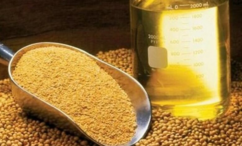 واردات روغن خام ۵۷ درصد افزایش یافت