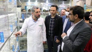 ورود دادستانی تهران به موضوع ساماندهی وضعیت باغ پرندگان خلیج فارس