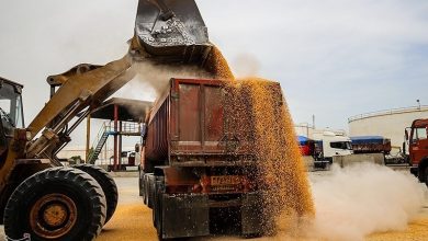 کاهش ۲۸ درصدی تخلیه و بارگیری کالای اساسی در بنادر