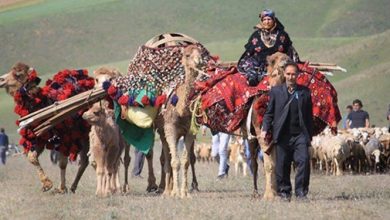 کوچ پاییزه عشایر به مناطق قشلاقی درحال انجام است