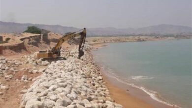 ۱۶ منطقه ساحلی دشتی و تنگستان هم‌جوار خلیج‌ فارس نیاز به احداث دیوار حفاظتی دارد