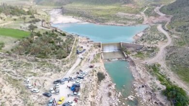 آغاز طرح عملیاتی از “آبخیز تا جالیز”/ سردار سلیمانی: ۱۹ میلیون هکتار برای طرح در نظر گرفته شد