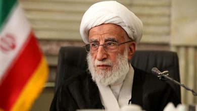 آیت‌الله جنتی: فلسطین به پیروزی نهایی نزدیک است