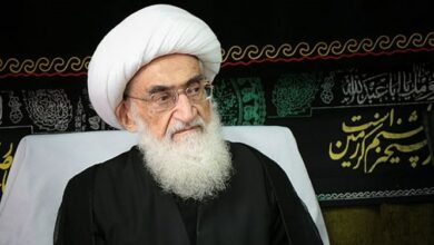 آیت‌الله نوری همدانی: امروز غزه، بوته آزمایش وجدان بشری است