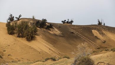 اعلام ۳ منطقه کشور که بیشترین فرسایش خاک را دارند