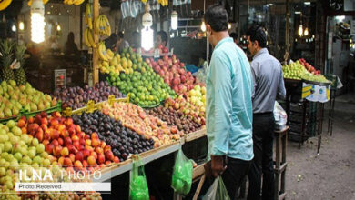 افزایش ۱۰۰ درصدی هزینه‌ تولیدات کشاورزی/ هر کارتن آناناس ۲۰۰ هزار تومان گرانتر شد