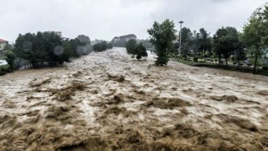 امدادرسانی هلال احمر به ۸۰خودروی گرفتار سیل در مازندران