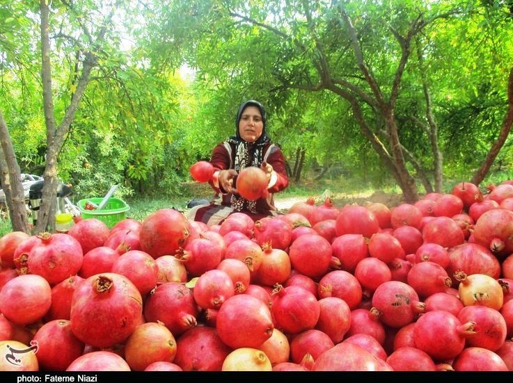 استان لرستان , کشاورزی , 