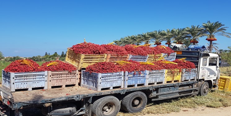 بمباران‌‌ کور اسرائیل با هدف ترسیم جغرافیای جدید برای غزه