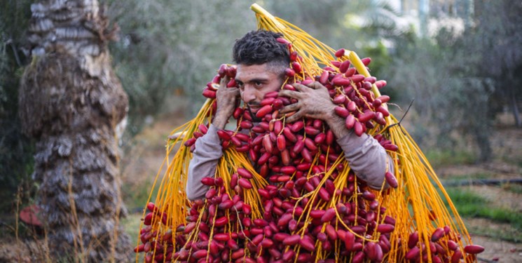 بمباران‌‌ کور اسرائیل با هدف ترسیم جغرافیای جدید برای غزه