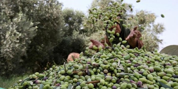 بمباران‌‌ کور اسرائیل با هدف ترسیم جغرافیای جدید برای غزه