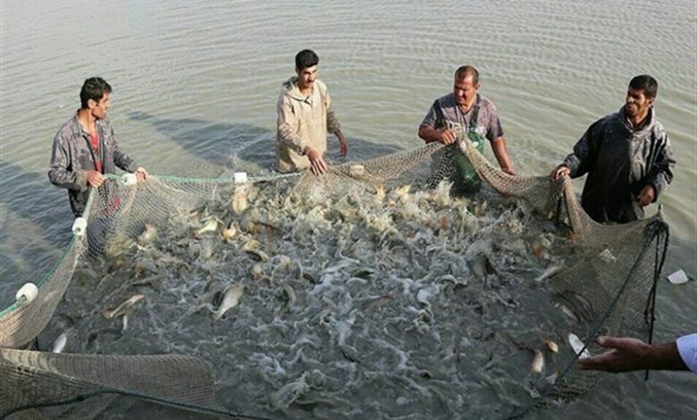 بودجه ۷۰ میلیاردی شیلات بابل برای توسعه آبزی‌پروری