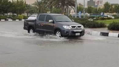 بیشترین بارندگی استان بوشهر در بندر دیلم با بیش از ۲۹ میلی‌متر ثبت شد