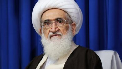 تاکید آیت‌الله نوری همدانی بر پاسخگویی به شبهات درباره واجبات الهی در فضای مجازی
