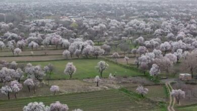 ثبت باغستان سنتی قزوین در نظام میراث کشاورزی جهانی