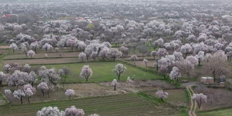 ثبت باغستان سنتی قزوین در نظام میراث کشاورزی جهانی