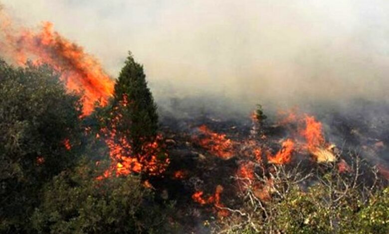 دستور رئیس کل دادگستری استان گیلان به دادستان‌ها برای همکاری در اطفای حریق جنگل‌ها