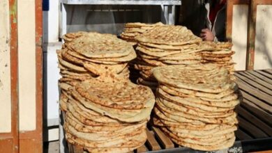 دستگیریِ فردی در شیروان که ماهانه ۱۰ هزار نان می‌خرید!