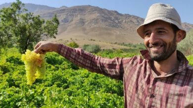 روستایی با گردش مالی 4 هزار میلیارد تومان در ارومیه